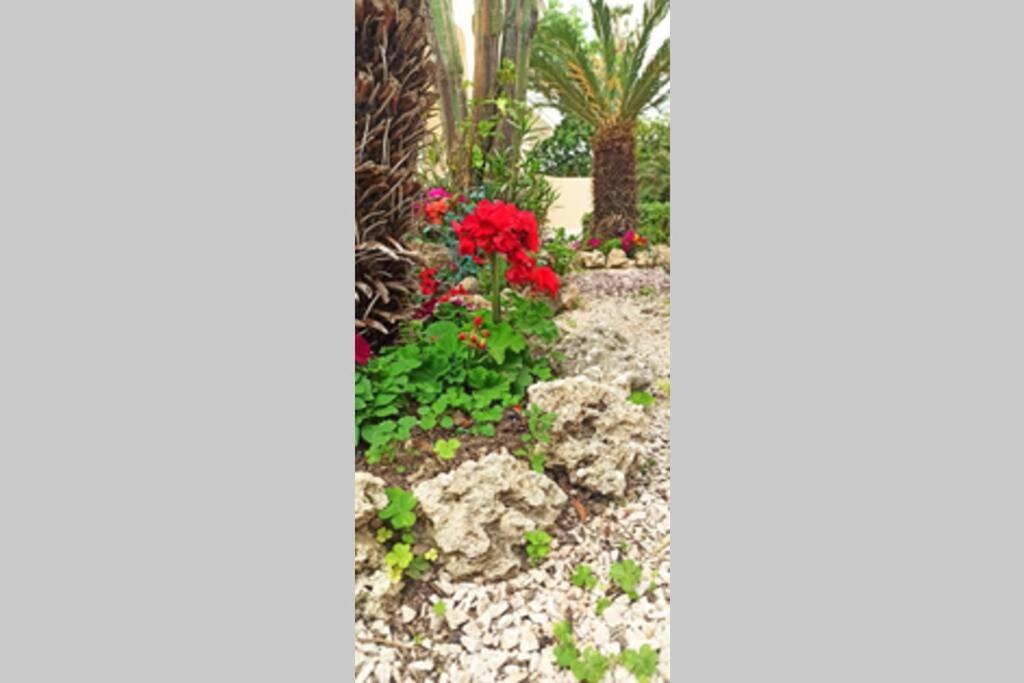 Lejlighed Petunia Garden View Rhodes City